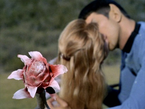 thissideofparadisehd247