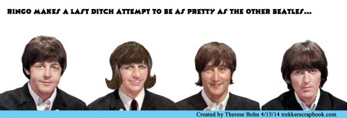 Ringo's Makeover by Therese Bohn