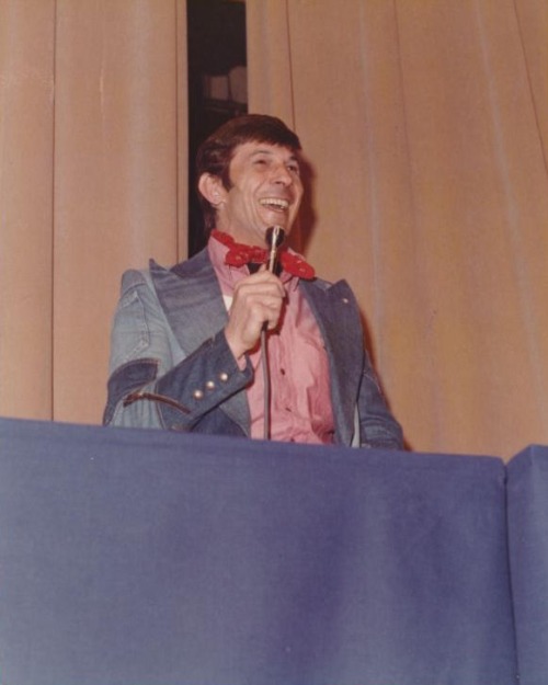 tumblr_niljl9Y90D1qj4li6o1_500