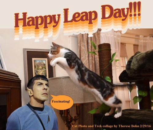 leap day 2016