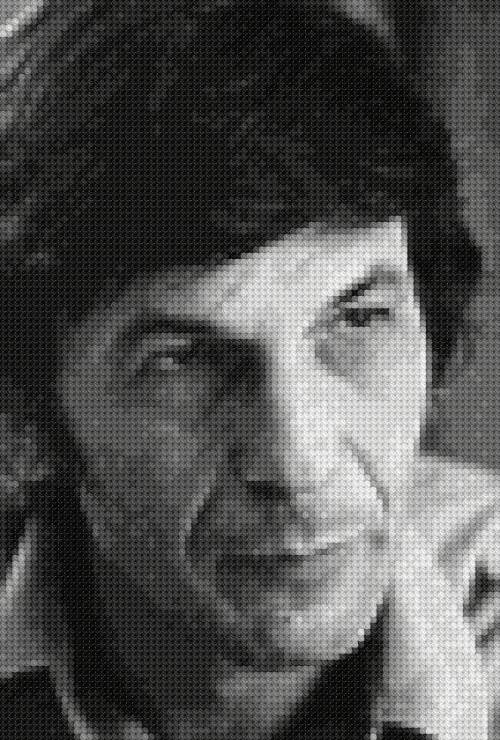 12994573_10207294419652675_7332712522572393978_n