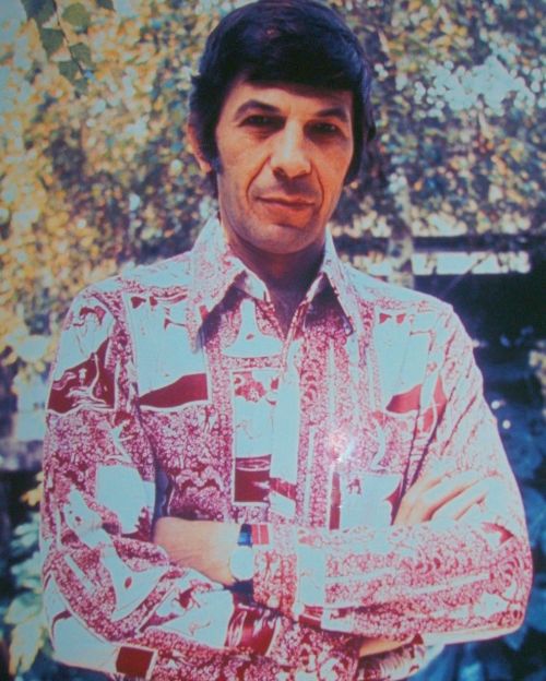 tumblr_o34gdgibMg1tuj2wco1_1280